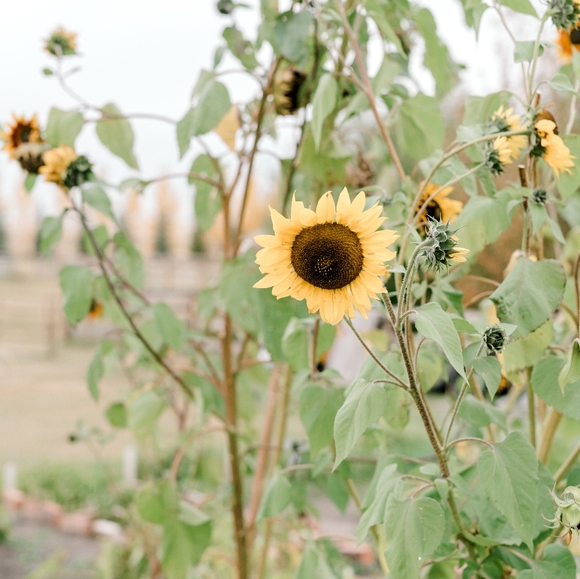 Meet your Posher, Jenna lee - Picture 4 of 4